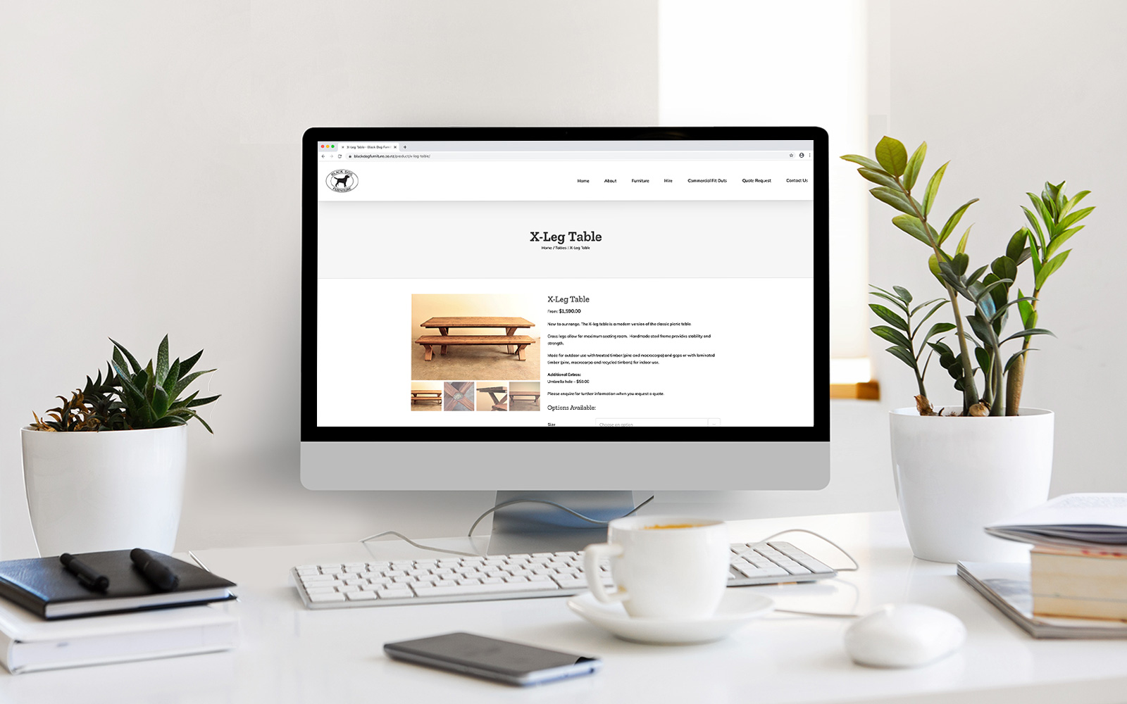 Website Design and Development Black Dog Furniture