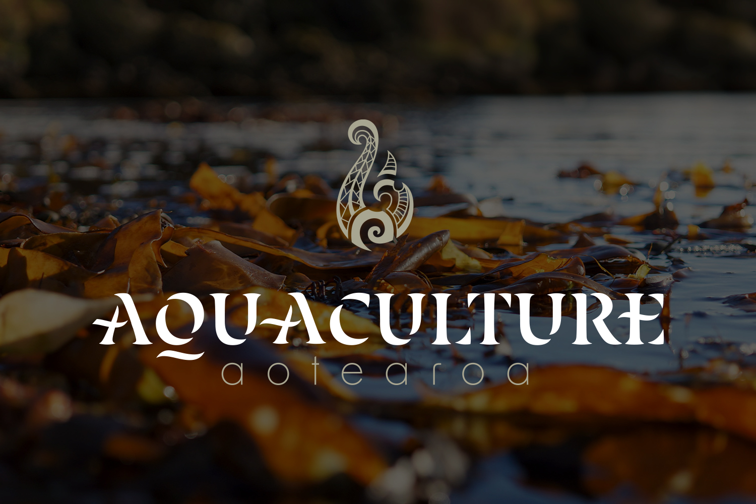 aquaculture aotearoa logo design, Ashleigh May Design