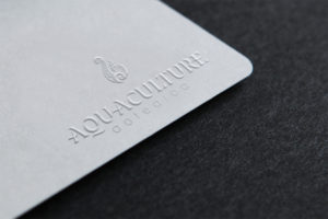 aquaculture aotearoa logo design, Ashleigh May Design