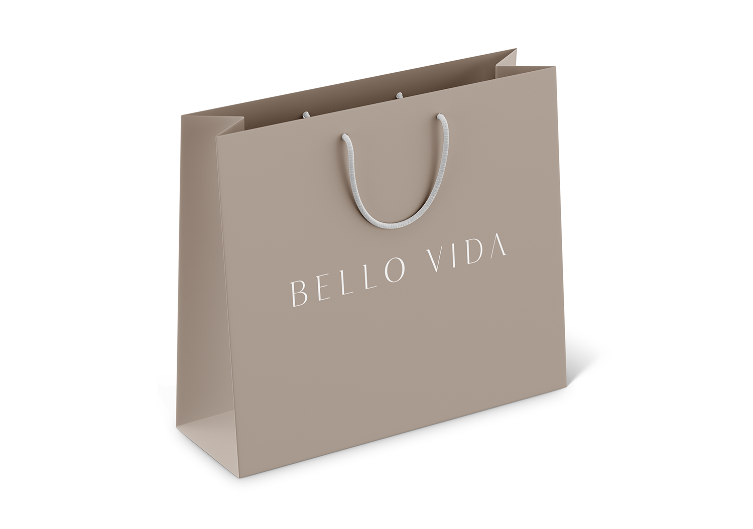 Bello Vida Logo Design Packaging