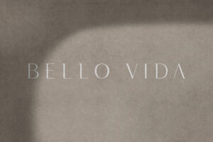 Bello Vida Logo Design